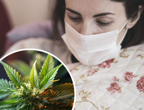 Baanbrekend onderzoek: mogelijke rol voor cannabis bij behandeling symptomen Long Covid