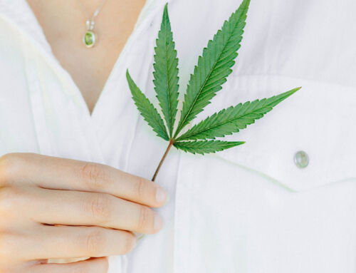 Hoe wordt cannabis in de medische industrie toegepast?