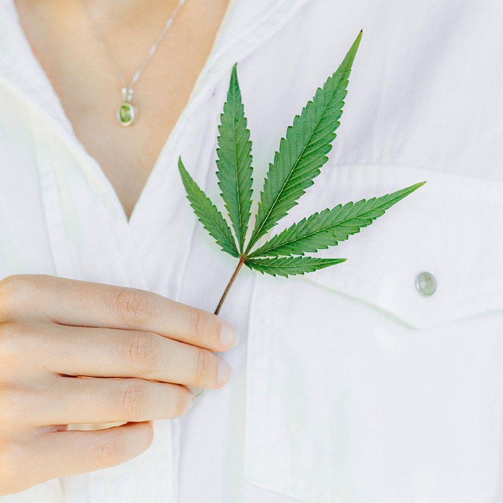 Roots Science - Cannabis in de medische industrie