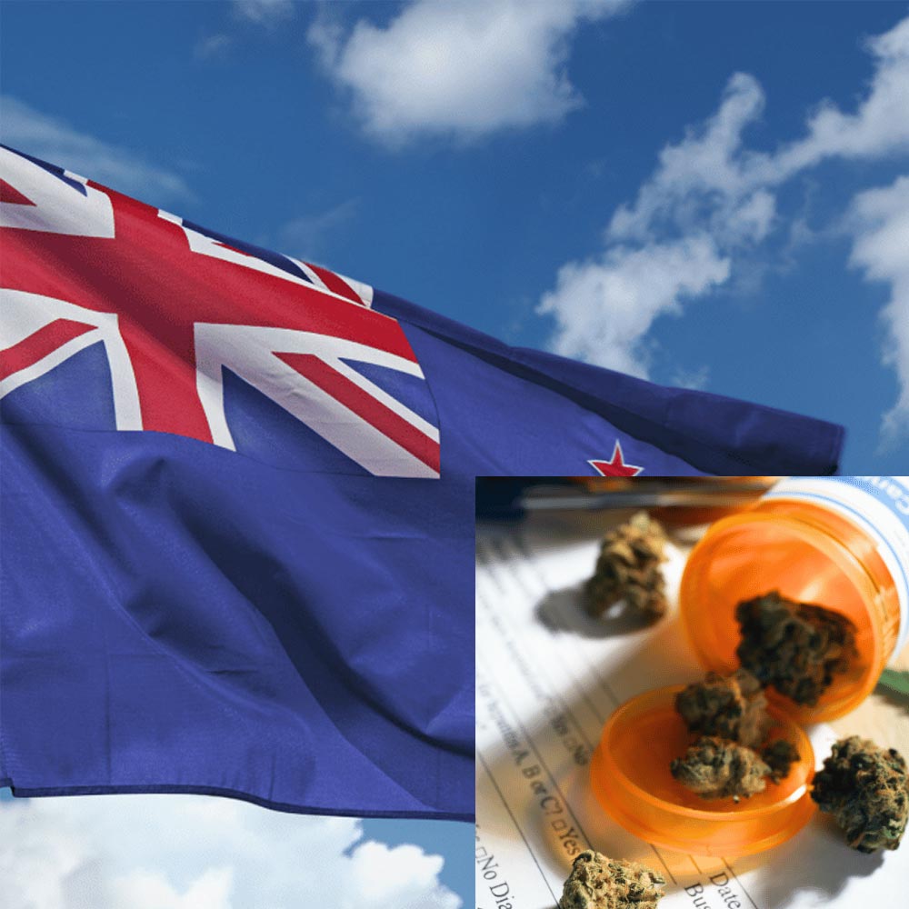 Nieuw-Zeeland - onderzoek medicinale cannabis