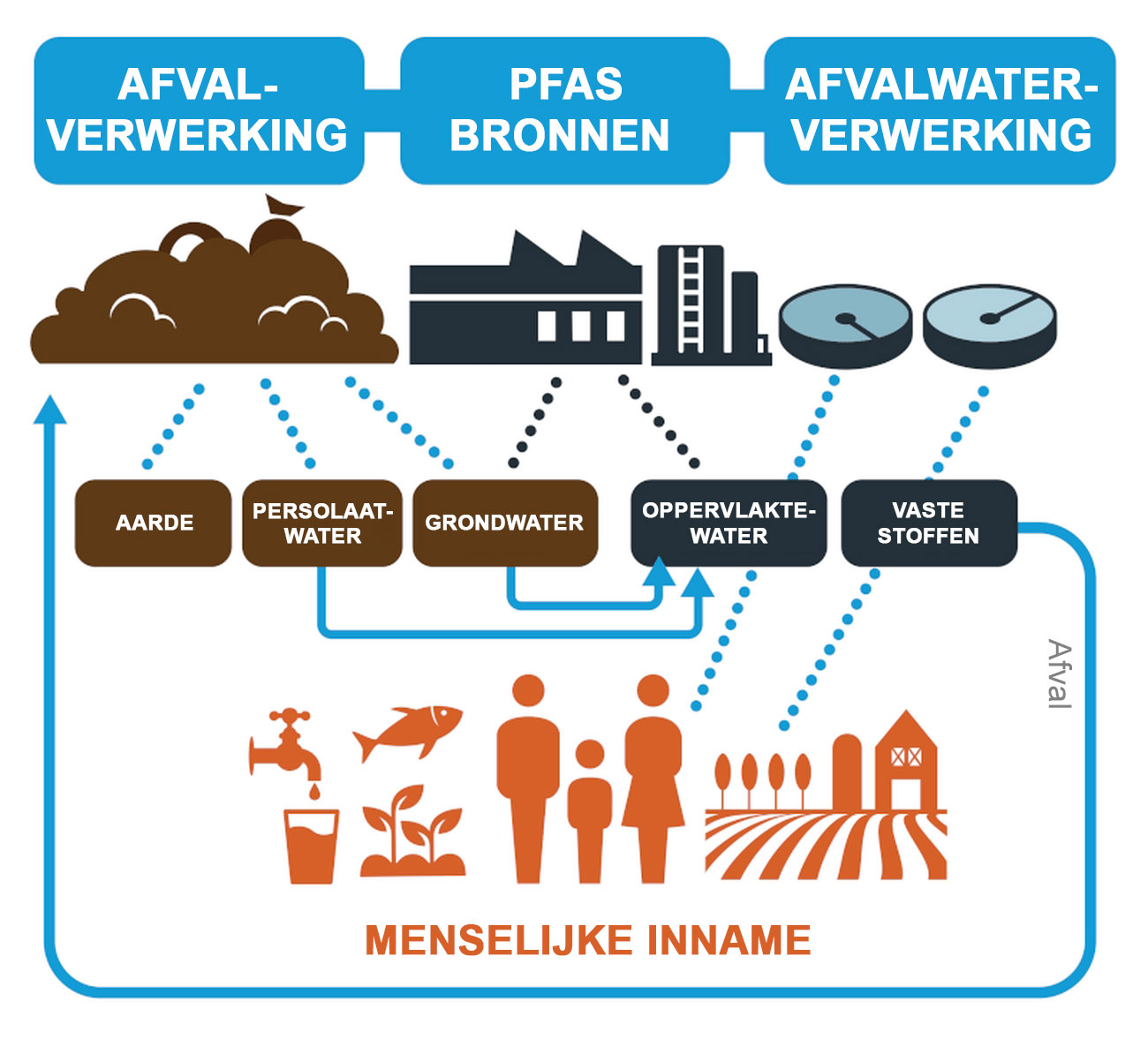 PFAS infographic - Roots Science